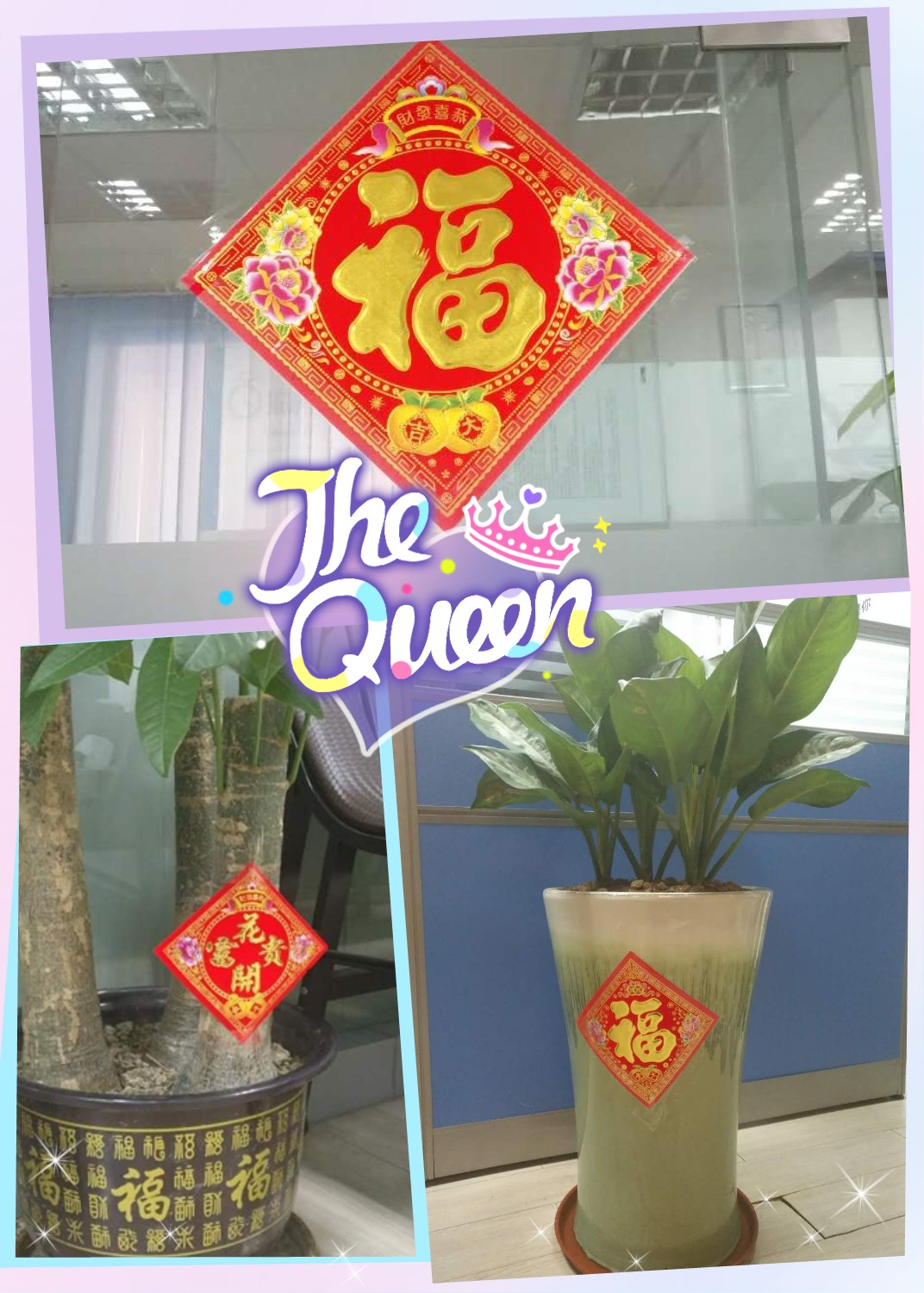 九游会老哥必备的交流社区福