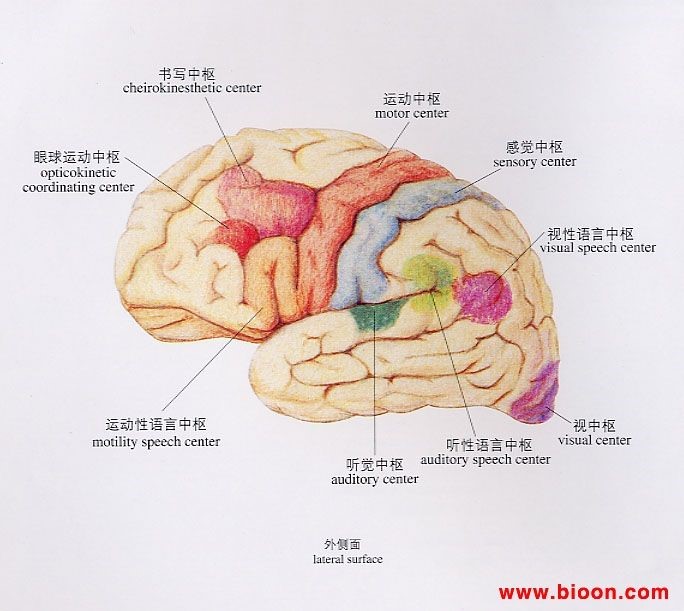 九游会老哥必备的交流社区医疗产后计量敷垫